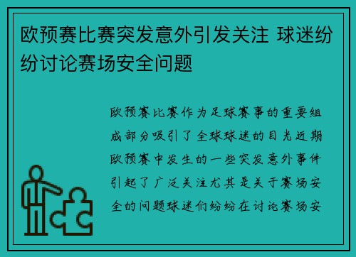 欧预赛比赛突发意外引发关注 球迷纷纷讨论赛场安全问题
