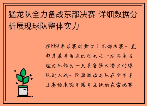 猛龙队全力备战东部决赛 详细数据分析展现球队整体实力