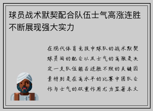 球员战术默契配合队伍士气高涨连胜不断展现强大实力